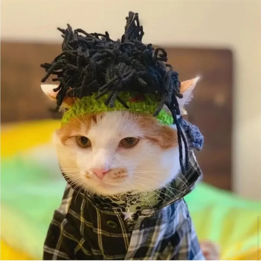 Costume Reggae Punk Rock Crochet Wig Hat for Small Pet Dog Cat (M)